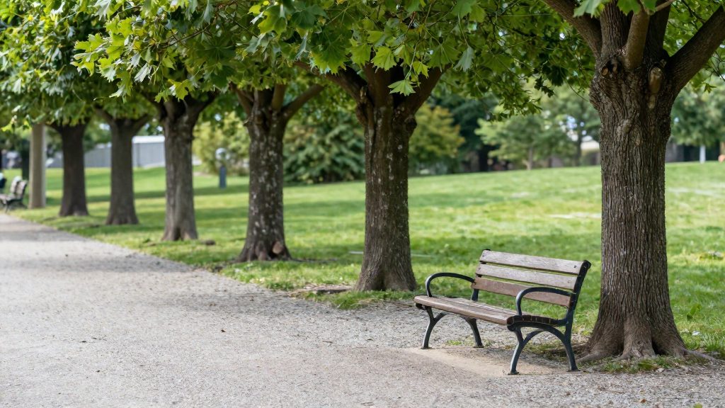 ¿Qué recomienda la OMS y qué cuenta como zona verde?
